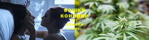 мет Лагань