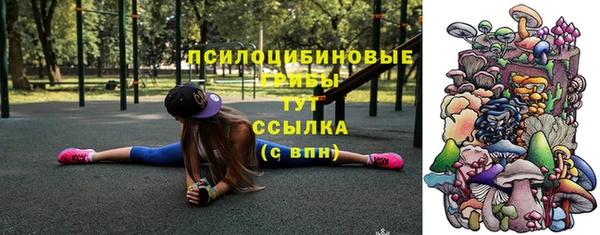 дурь Ладушкин