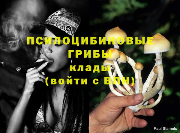 молекула духа Лабытнанги