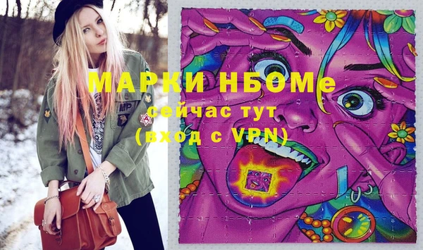 молекула духа Лабытнанги