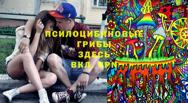 молекула духа Лабытнанги