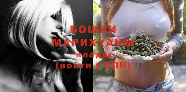 молекула духа Лабытнанги