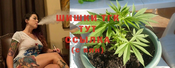 молекула духа Лабытнанги