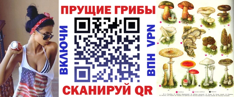 магазин продажи   Яхрома  Псилоцибиновые грибы Psilocybine cubensis 